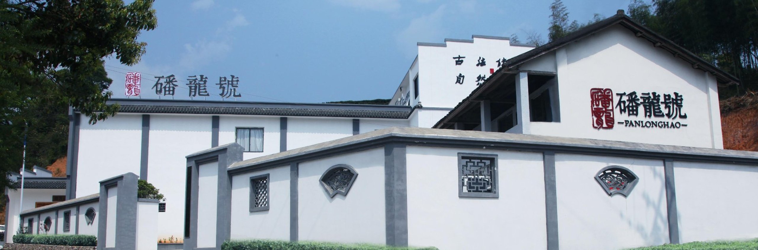 磻龙号茶业生产基地 · 福鼎市磻溪镇